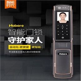 弘博汇智能门锁H6